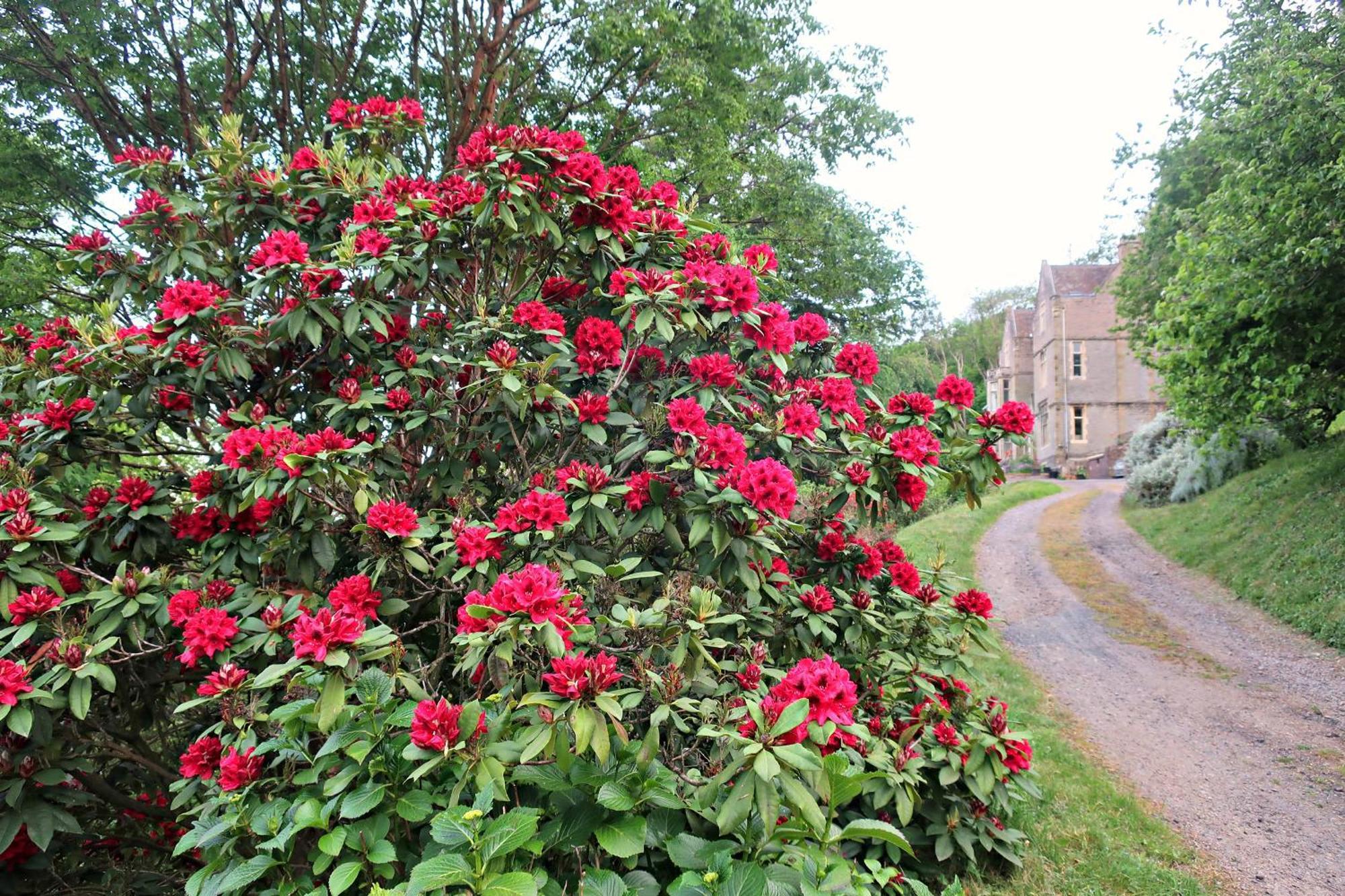 דירות Malvern Wells Haslington House מראה חיצוני תמונה